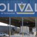 Colival, una empresa referente en la producción de aceite de calidad
