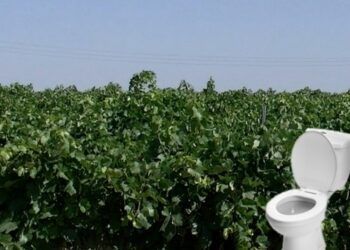 ¿Retrete en el campo? En el sector aún no está claro