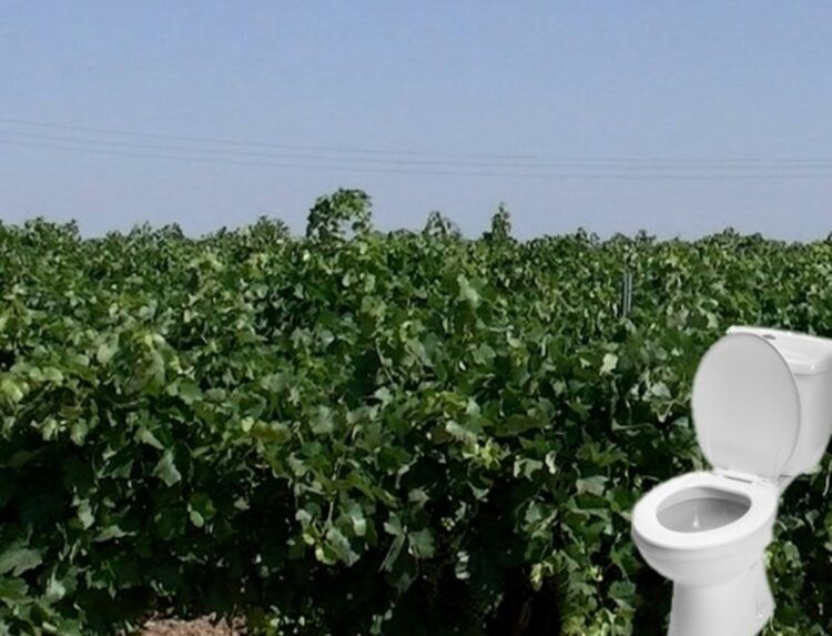¿Retrete en el campo? En el sector aún no está claro