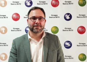 Javier Navarro: “los árboles se han caído, no había previsión de eliminarlos”