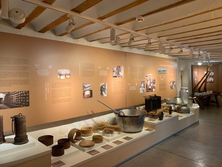 Visita al Museo del Queso Manchego de Manzanares, una experiencia divertida y didáctica