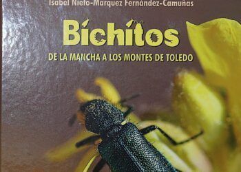 El libro “Bichitos: de La Mancha a los Montes de Toledo” para aprender en familia