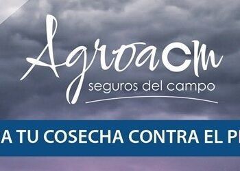El pedrisco, principal riesgo en nuestros campos, se acentúa con el clima cambiante. Asegura tus cultivos con AgroACM