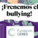 Fundación CERES ayuda a detectar, actuar y prevenir el Bullying y el Acoso Escolar