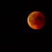 Un eclipse lunar total teñirá de rojo la luna llena el domingo 7 de septiembre