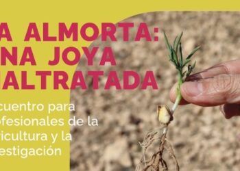 Recuperar la Almorta es el objetivo de la Fundación Legado Bustillo de La Solana