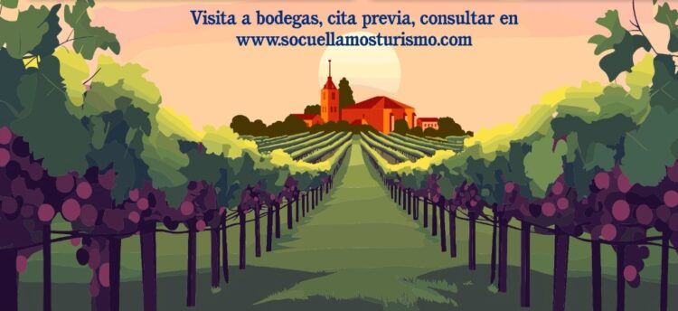 Enoturismo en el Museo Torre del Vino de Socuéllamos del 6 al 9 de noviembre