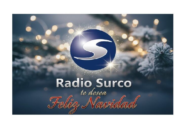 ¡¡ FELICES FIESTAS !!