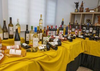 La DO La Mancha celebra la calidad de sus vinos
