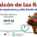 La AECC en Valdepeñas celebra este sábado la actividad solidaria “Balcón de las Flores”