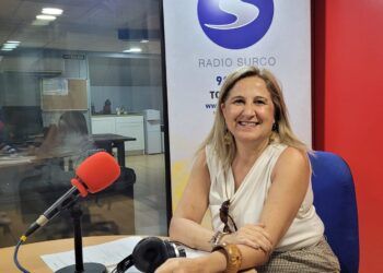 Tomelloso celebra el Día de Europa con una jornada sobre el impacto de la financiación comunitaria