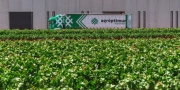 Ángel Minaya, CEO de Agróptimum, traslada cómo se encuentra la compañía ante la llegada de los primeros camiones de pistacho